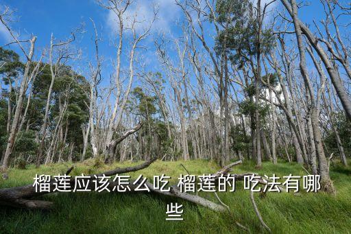  榴蓮應(yīng)該怎么吃 榴蓮的 吃法有哪些