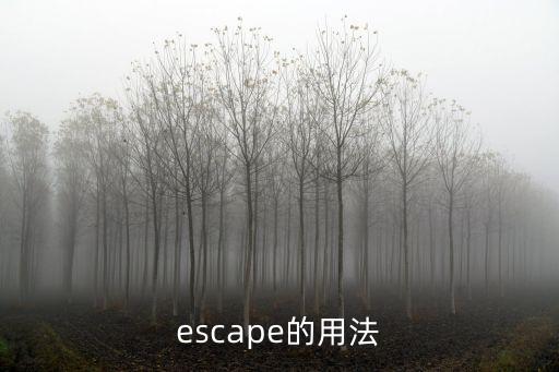 escape用法，escape 的用法13 He narrowly escaped