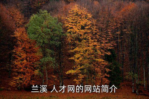 蘭溪 人才網的網站簡介