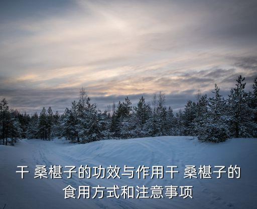 干 桑椹子的功效與作用干 桑椹子的食用方式和注意事項