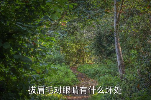 拔眉毛對眼睛有什么壞處