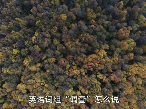  英語詞組“調查”怎么說