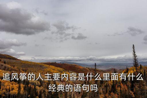 追風箏的人主要內容是什么里面有什么經典的語句嗎