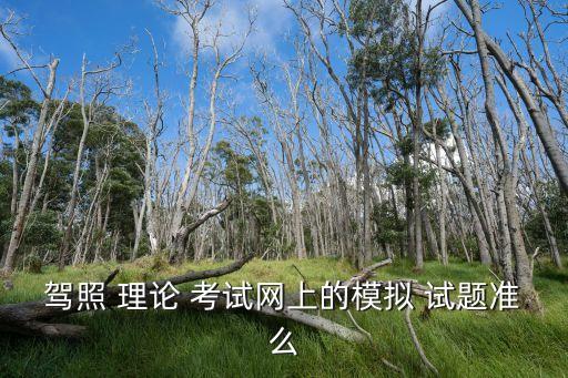 學車理論考試試題,駕駛證模擬考試:第一項理論考試及格90分