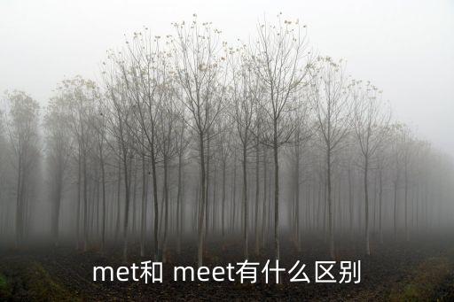 met和 meet有什么區別