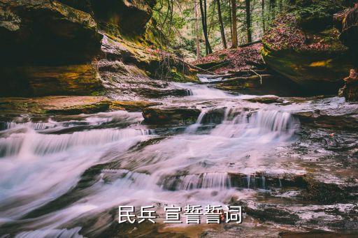 宣誓,中國民兵宣誓誓詞:我是中國人