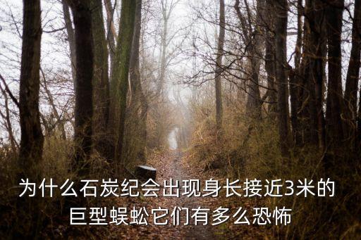 為什么石炭紀會出現身長接近3米的 巨型蜈蚣它們有多么恐怖