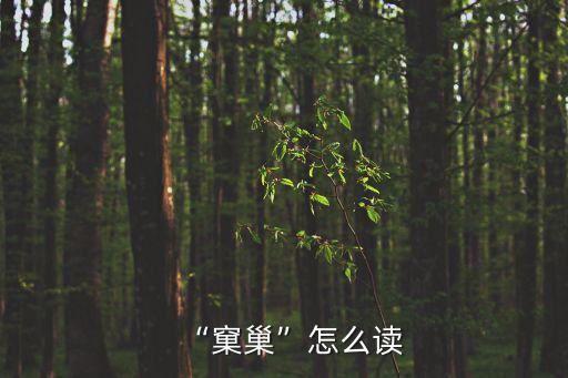 “窠巢”怎么讀