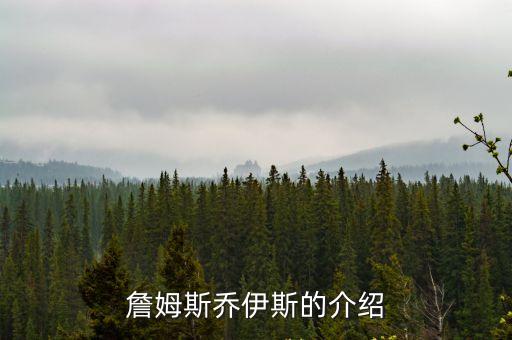 詹姆斯喬伊斯的介紹