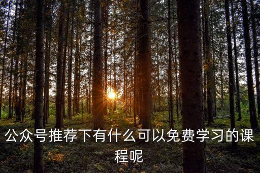 公眾號推薦下有什么可以免費學習的課程呢