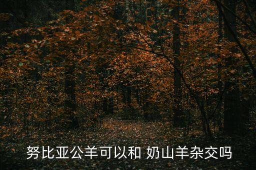 努比亞奶山羊,公羊母羊混種在一起或?qū)е履秆驘o(wú)法產(chǎn)仔