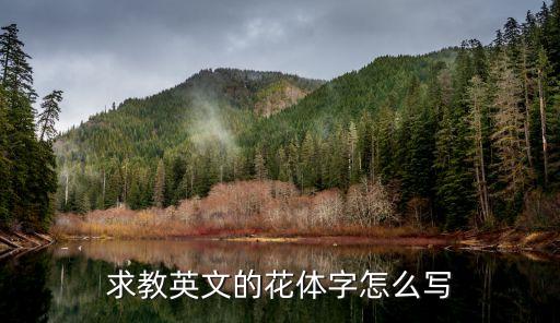 英語(yǔ)花體字，求教英文的花體字怎么寫