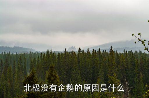 北極沒有企鵝的原因是什么