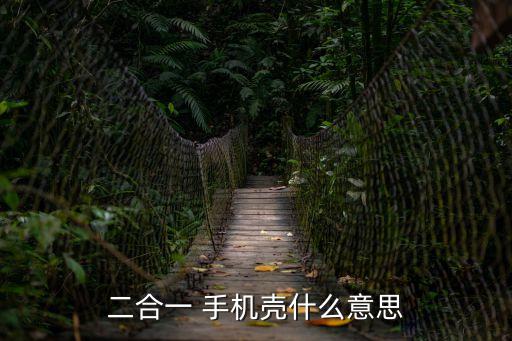 二合一 手機殼什么意思