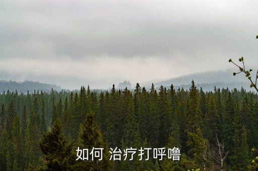 如何 治療打呼嚕