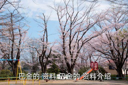 巴金的資料,20世紀中國文學良心巴金資料:漢族作家