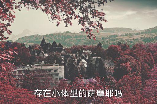 小薩摩耶，存在小體型的薩摩耶嗎