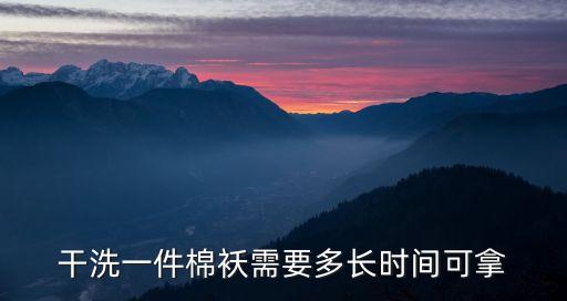 一件棉襖，一什么棉襖