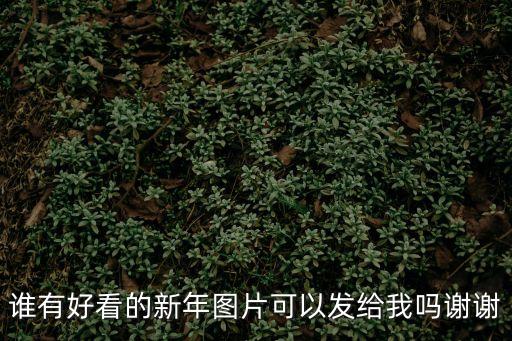 誰有好看的新年圖片可以發給我嗎謝謝