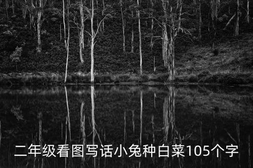 二年級(jí)寫話小白兔，小白兔還有兩個(gè)小動(dòng)物看圖寫話二年級(jí)