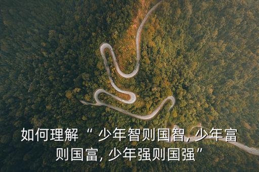 少年智,少年智慧使國家明智青年獨立使國族自由