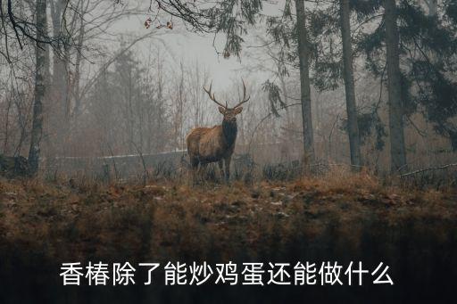 香椿除了能炒雞蛋還能做什么