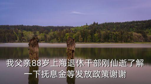我父親88歲上海退休干部剛仙逝了解一下撫息金等發放政策謝謝