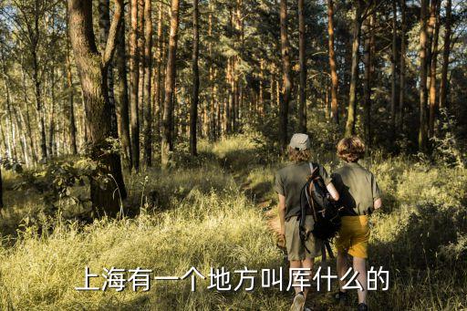 上海有一個地方叫厙什么的