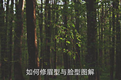 如何修眉型與臉型圖解