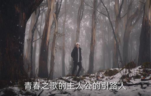 盧嘉川，青春之歌中盧嘉川受刑在第幾集