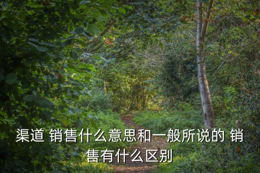 渠道 銷售什么意思和一般所說的 銷售有什么區別