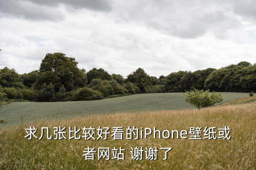 求幾張比較好看的iPhone壁紙或者網(wǎng)站 謝謝了