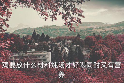 雞要放什么材料燉湯才好喝同時又有營養