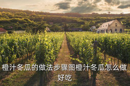 橙汁冬瓜的做法步驟圖橙汁冬瓜怎么做好吃