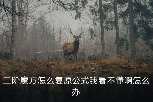二階魔方怎么復原，二階魔方怎么復原公式我看不懂啊怎么辦