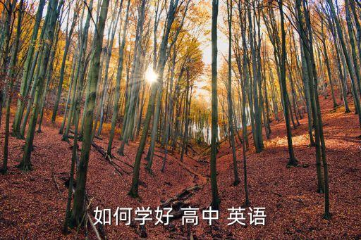 高中英語學習,如何學好高中英語?