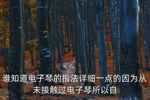 誰知道電子琴的指法詳細一點的因為從未接觸過電子琴所以自