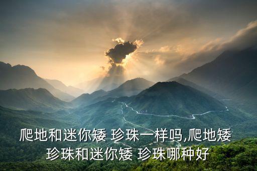 爬地矮珍珠,攀援低珍珠快繁植株要經常修剪否則長不成綠地