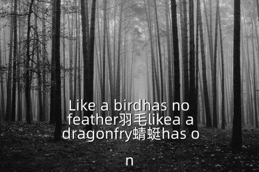 Like a birdhas no feather羽毛likea a dragonfry蜻蜓has on
