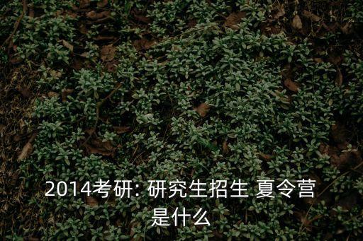 2014考研: 研究生招生 夏令營是什么