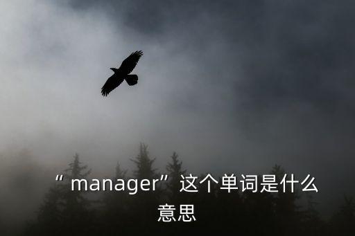 “ manager”這個單詞是什么意思
