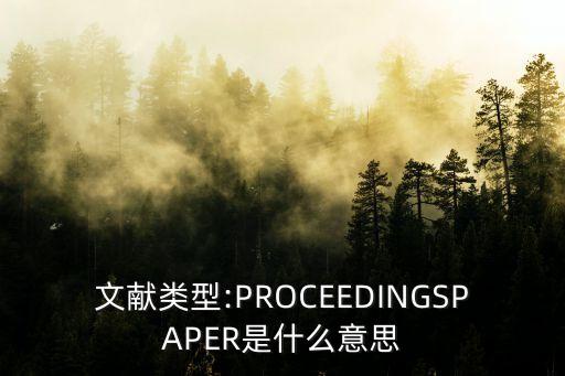 文獻(xiàn)類型:PROCEEDINGSPAPER是什么意思