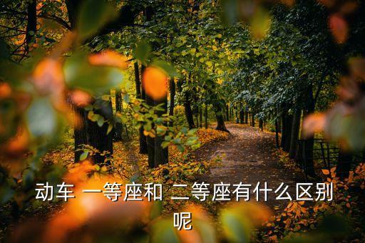 動車二等座和一等座的區別,一等座票價一般比二等座貴幾十元