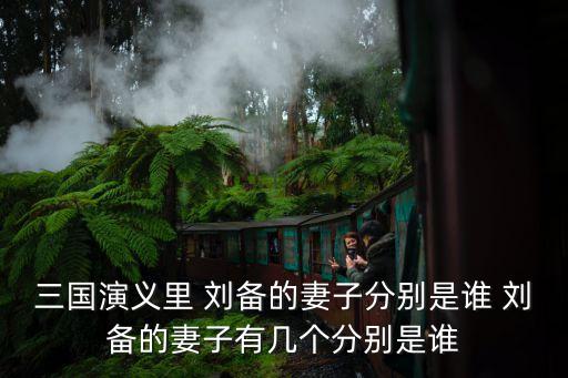 三國演義里 劉備的妻子分別是誰 劉備的妻子有幾個分別是誰