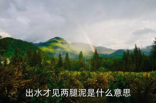 出水才見兩腿泥，出水才見梁泥腿是什么意思