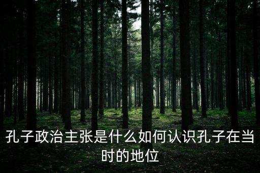 孔子的政治主張，孔子在政治上主張什么有何影響