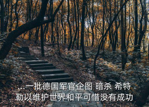 ...一批德國軍官企圖 暗殺 希特勒以維護世界和平可惜沒有成功