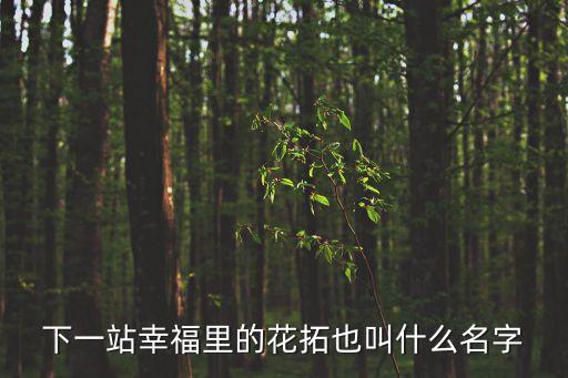 下一站幸福里的花拓也叫什么名字