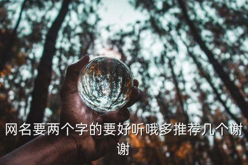 網(wǎng)名要兩個字的要好聽哦多推薦幾個謝謝