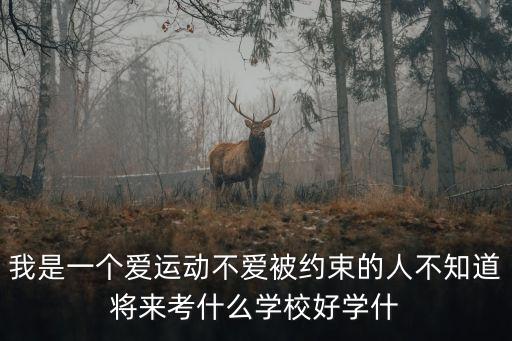 我是一個愛運動不愛被約束的人不知道將來考什么學校好學什